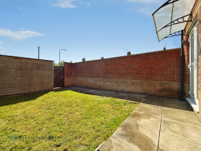 Picture 14